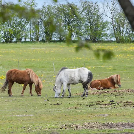 Apartment 2 Bedroom Beautiful In