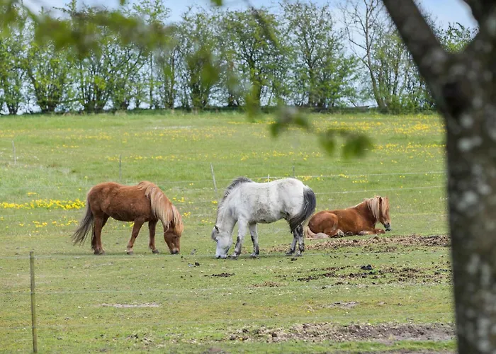 Apartament 2 Bedroom Beautiful In